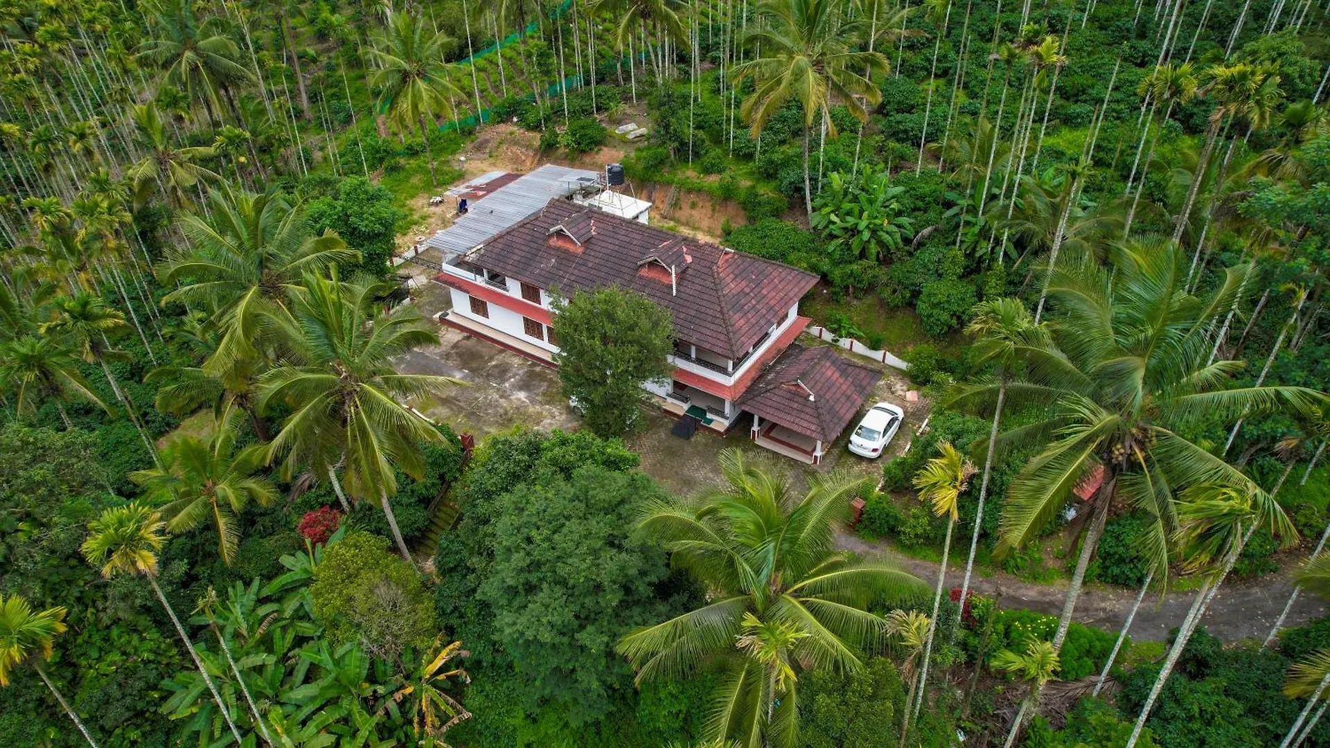 Wayanad Palm Grove Retreat G Floor Lägenhet Sultans Battery