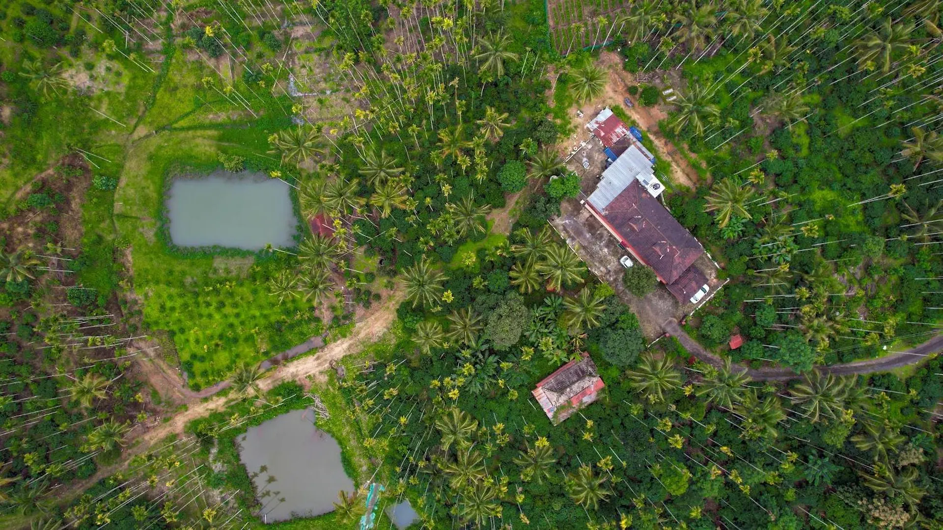 Wayanad Palm Grove Retreat G Floor Lägenhet Sultans Battery 0*,